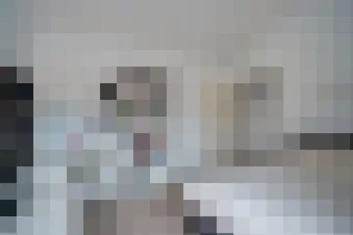 Plesmanlaan 96 Den Haag thumbnail 24
