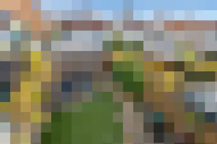 Plesmanlaan 96 Den Haag thumbnail 27