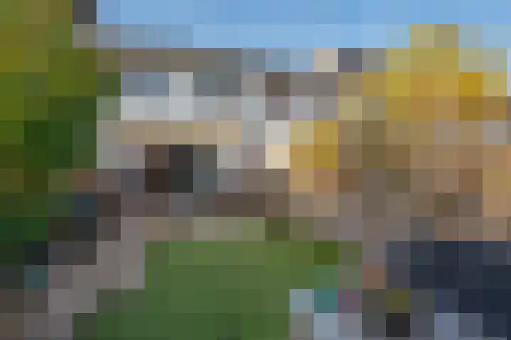 Plesmanlaan 96 Den Haag thumbnail 5