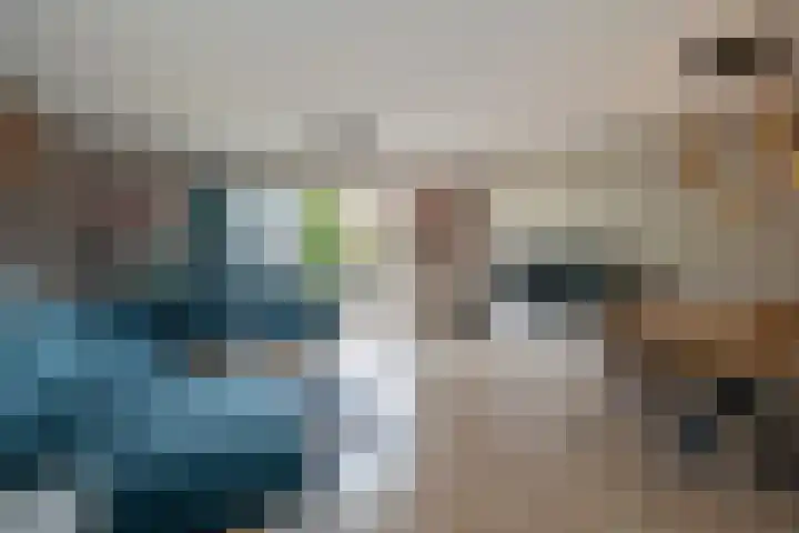 Plesmanlaan 96 Den Haag thumbnail 7