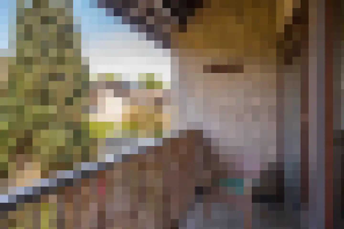 Plesmanstraat 10 Roermond thumbnail 14