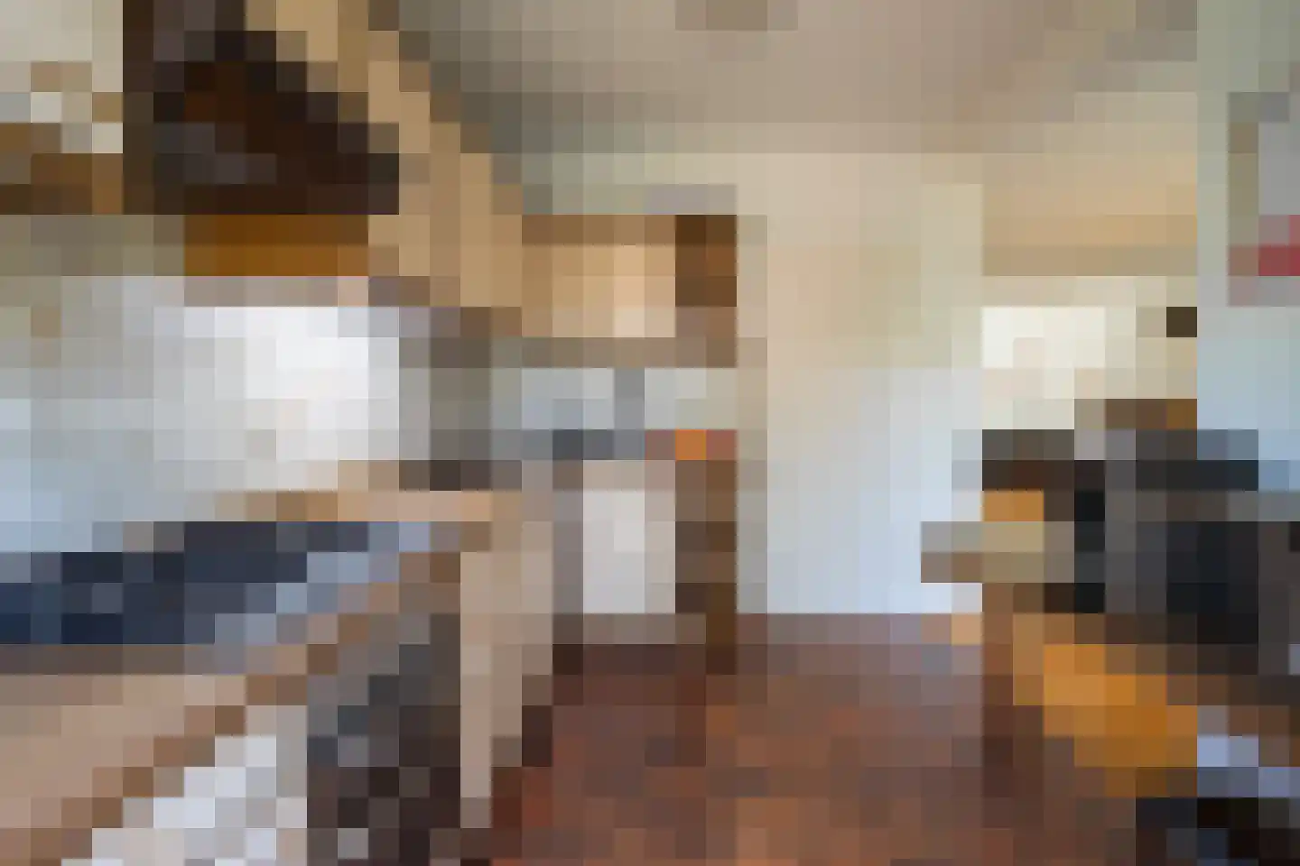 Plesmanstraat 10 Roermond thumbnail 8