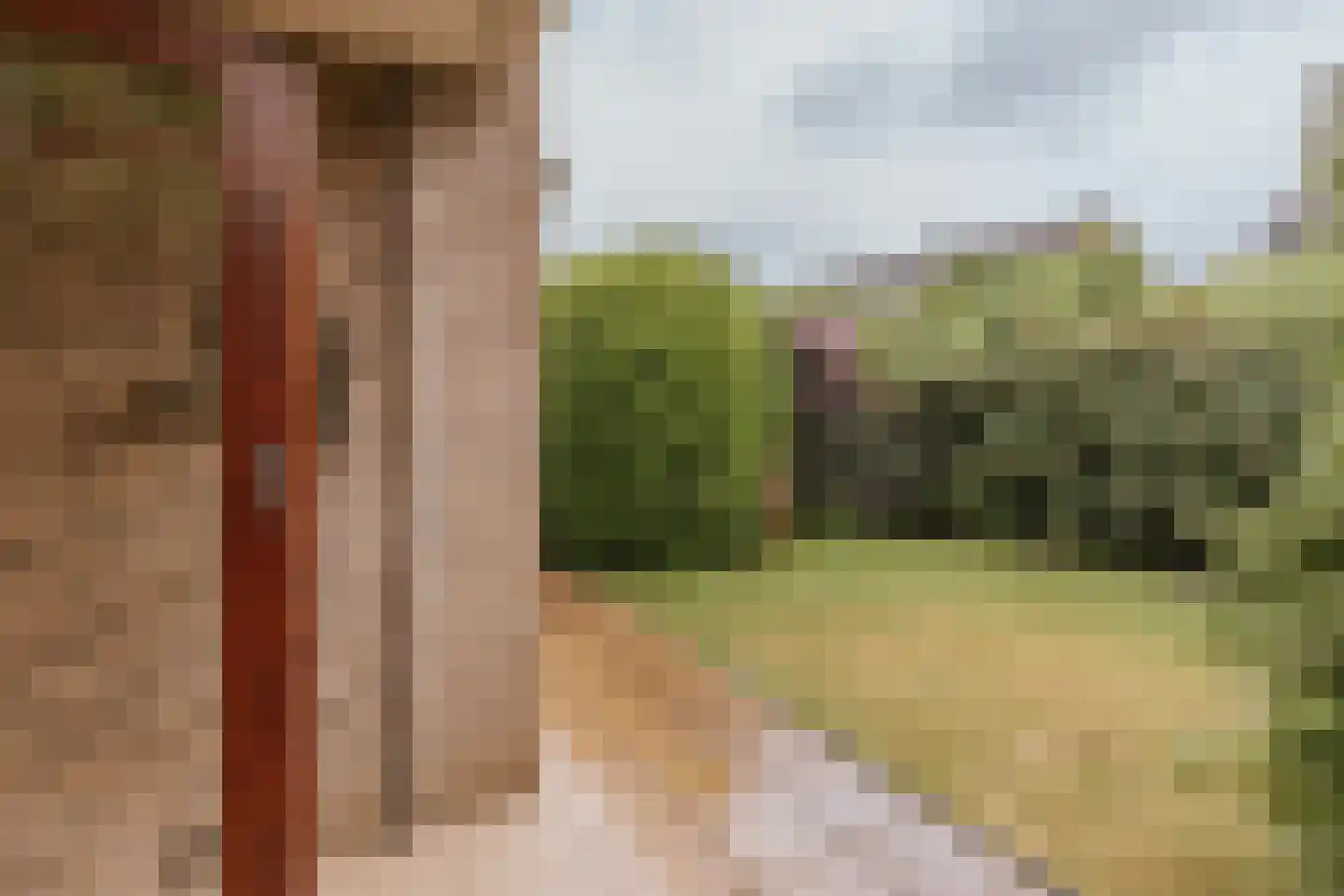 Plesmanstraat 16 Roermond thumbnail 23