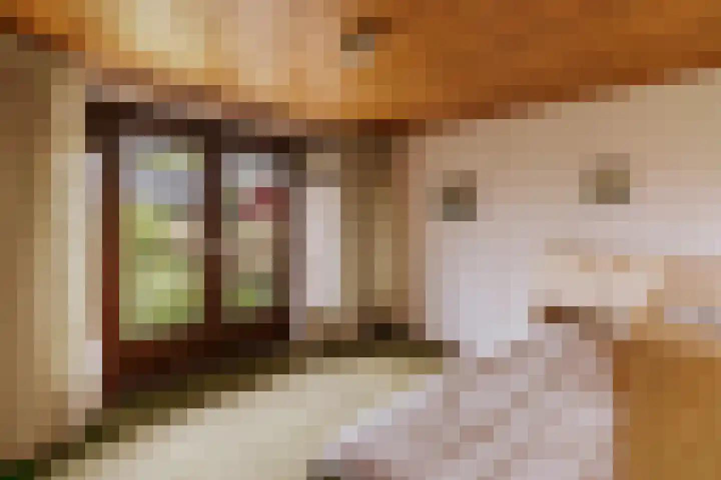 Plesmanstraat 16 Roermond thumbnail 38