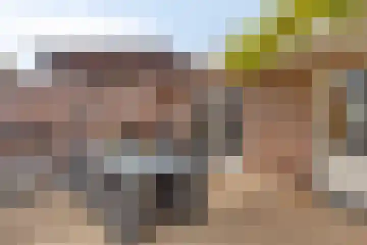 Plesmanstraat 18 Oisterwijk thumbnail 24