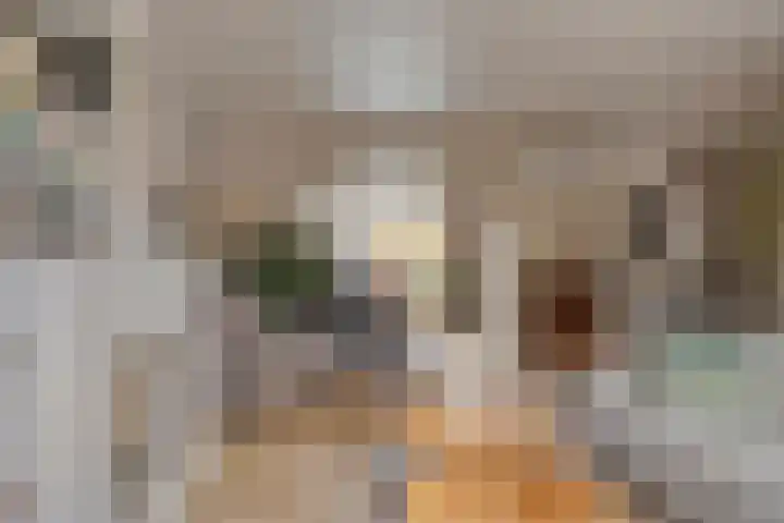 Plesmanstraat 18 Oisterwijk thumbnail 5