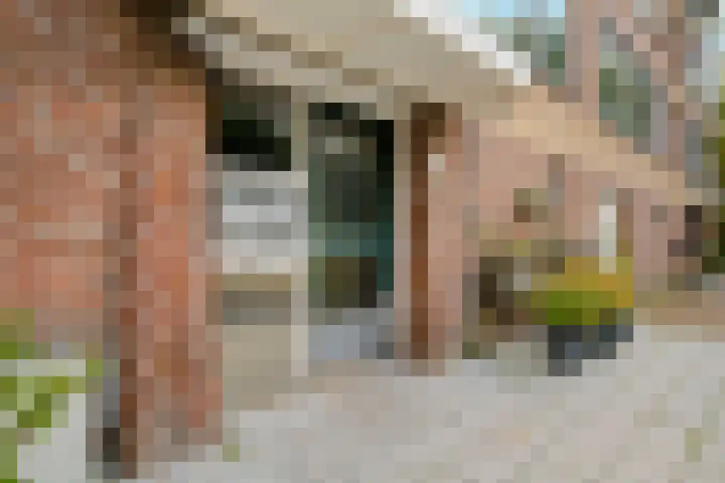 Plesmanstraat 239 Soesterberg thumbnail 26