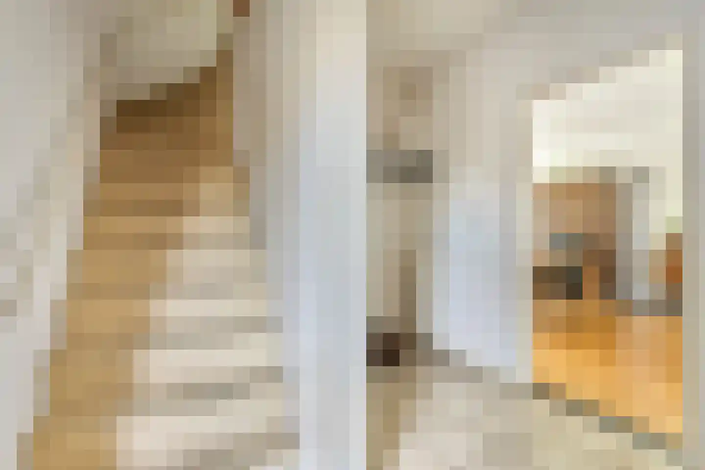 Plesmanstraat 24 Roermond thumbnail 15