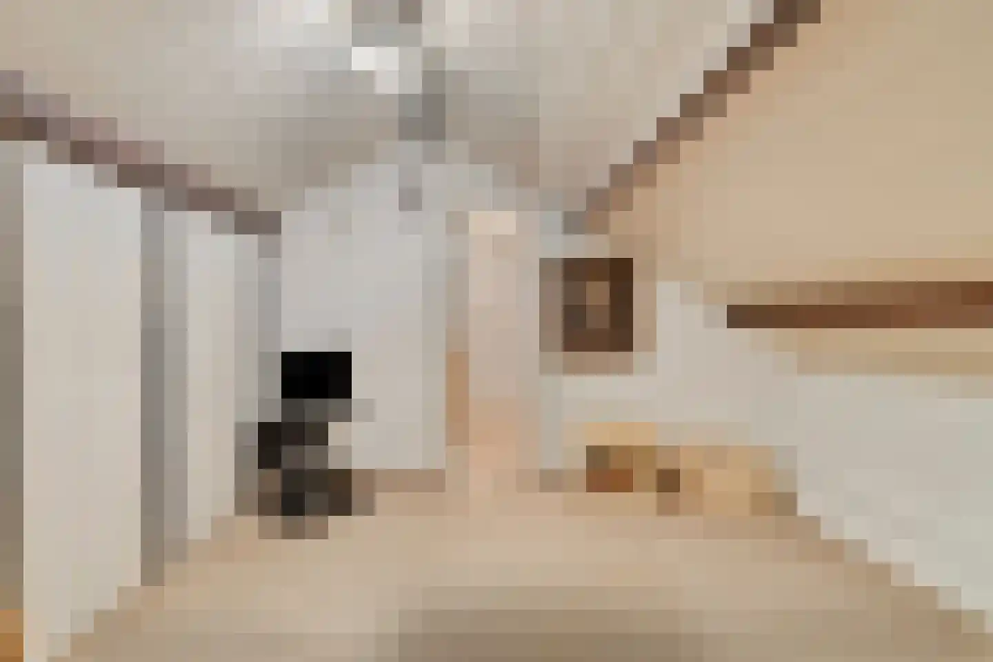 Plesmanstraat 24 Roermond thumbnail 28