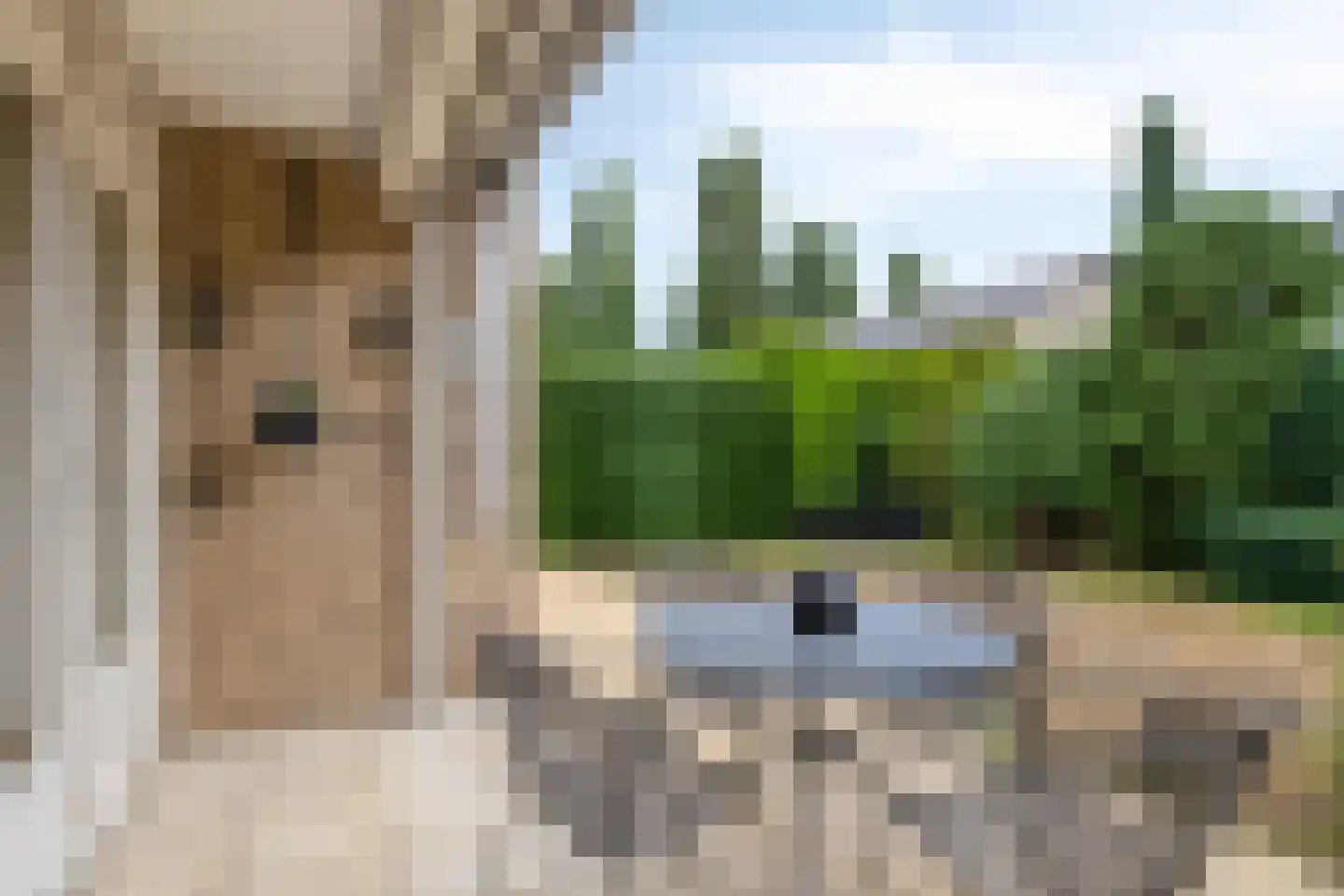 Plesmanstraat 24 Roermond thumbnail 30