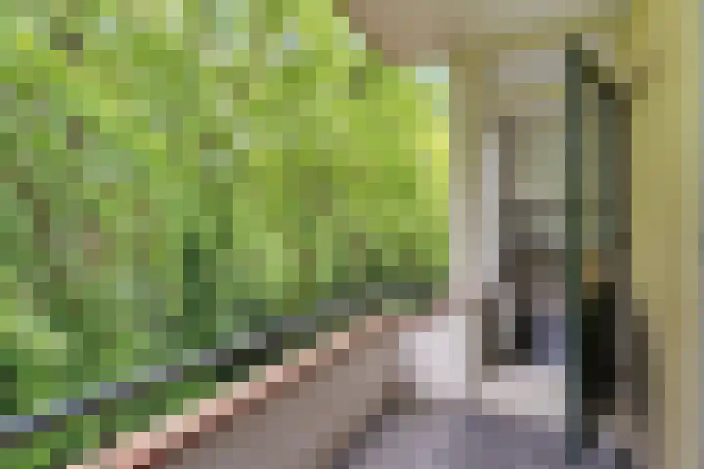 Plesmanstraat 265 Soesterberg thumbnail 26