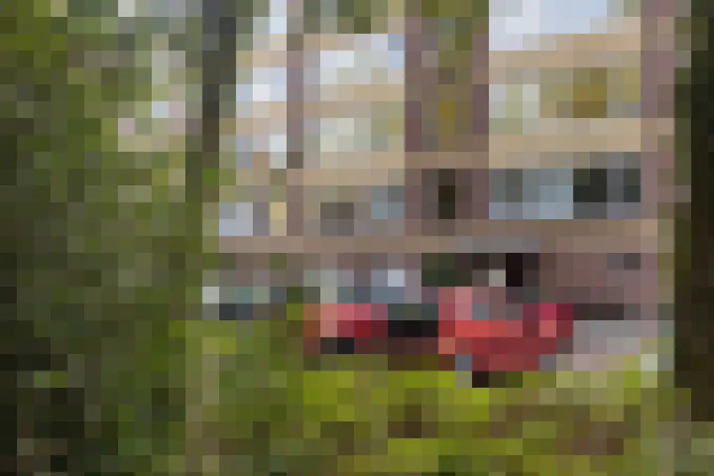 Plesmanstraat 273 Soesterberg thumbnail 5