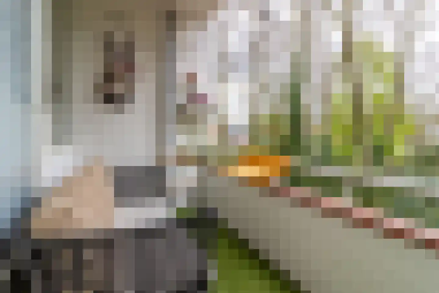 Plesmanstraat 277 Soesterberg thumbnail 13