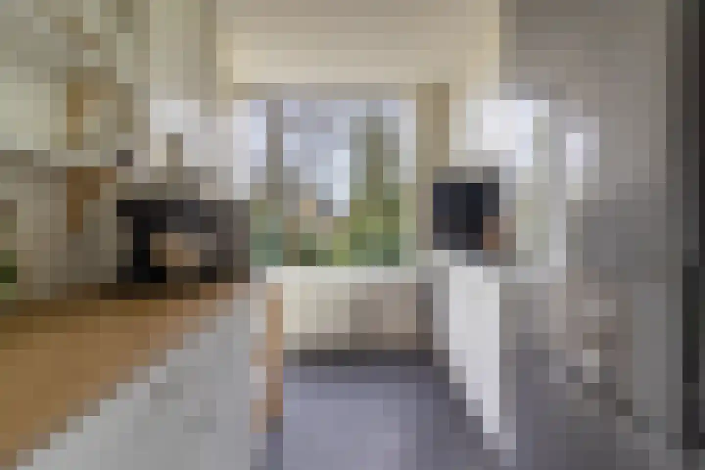 Plesmanstraat 277 Soesterberg thumbnail 7