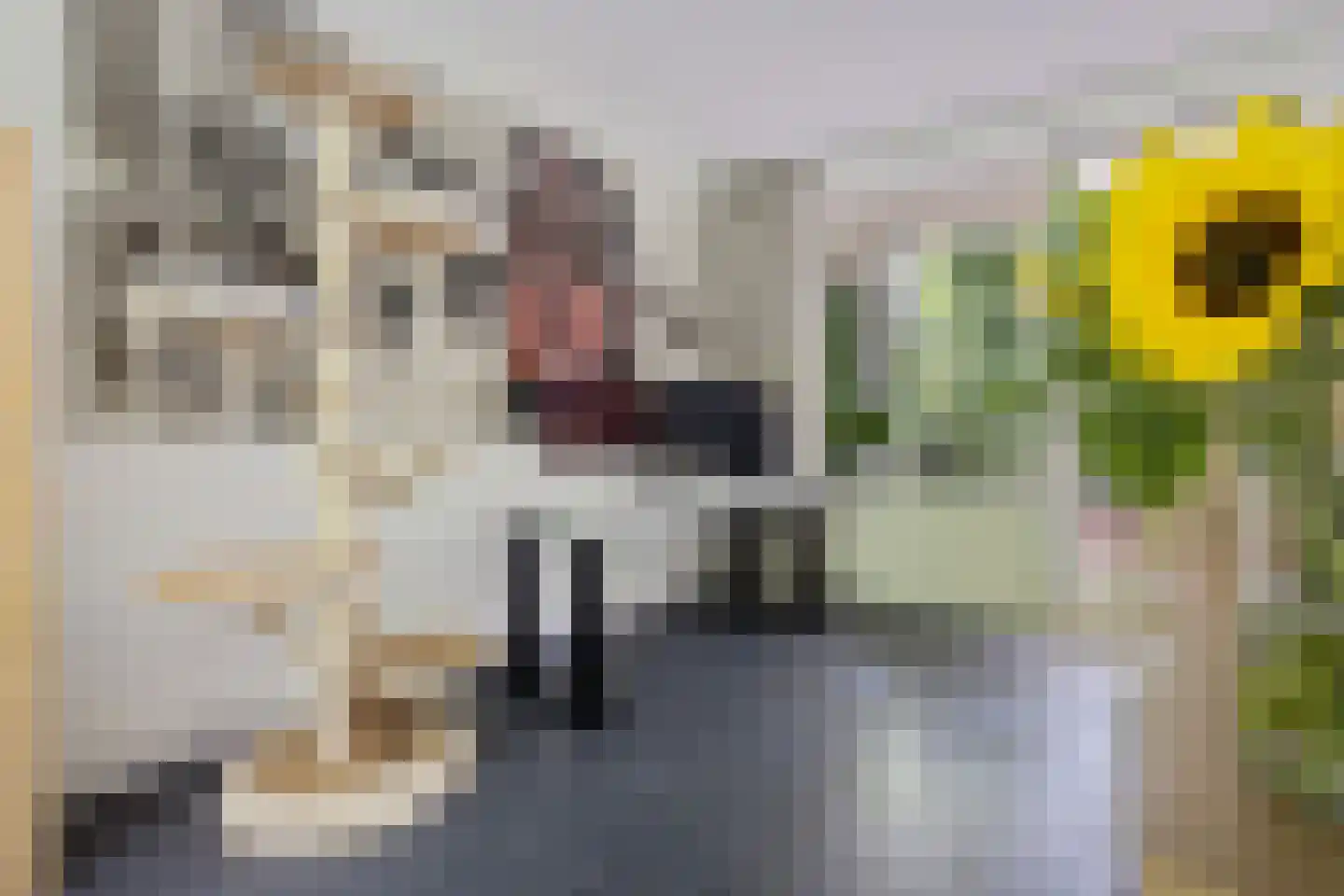 Plesmanstraat 293 Soesterberg thumbnail 17