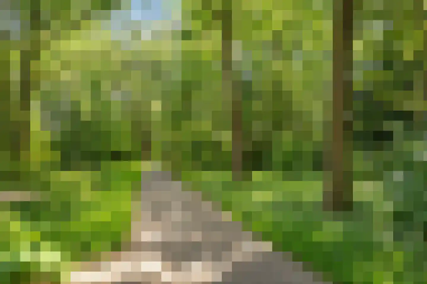 Plesmanstraat 293 Soesterberg thumbnail 31