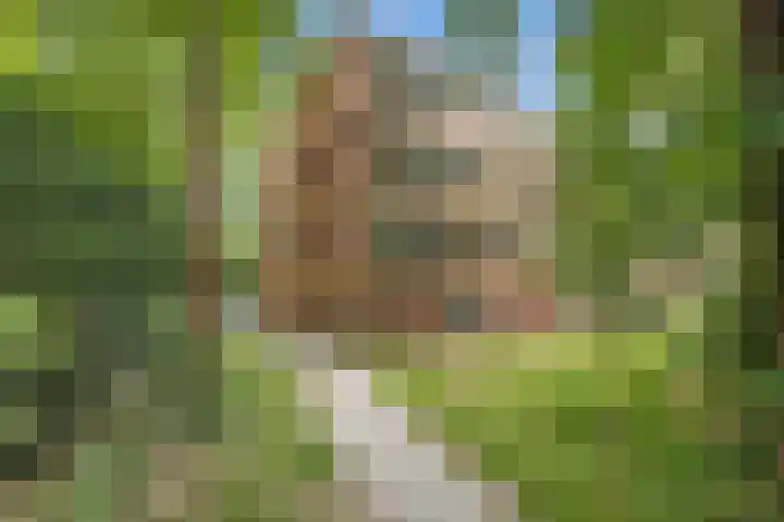 Plesmanstraat 321 Soesterberg