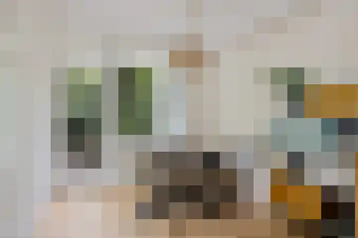 Plesmanstraat 321 Soesterberg thumbnail 5