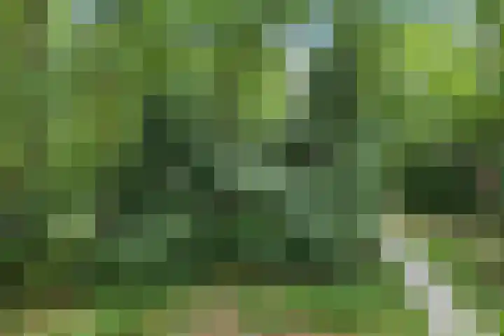Plesmanstraat 321 Soesterberg thumbnail 7