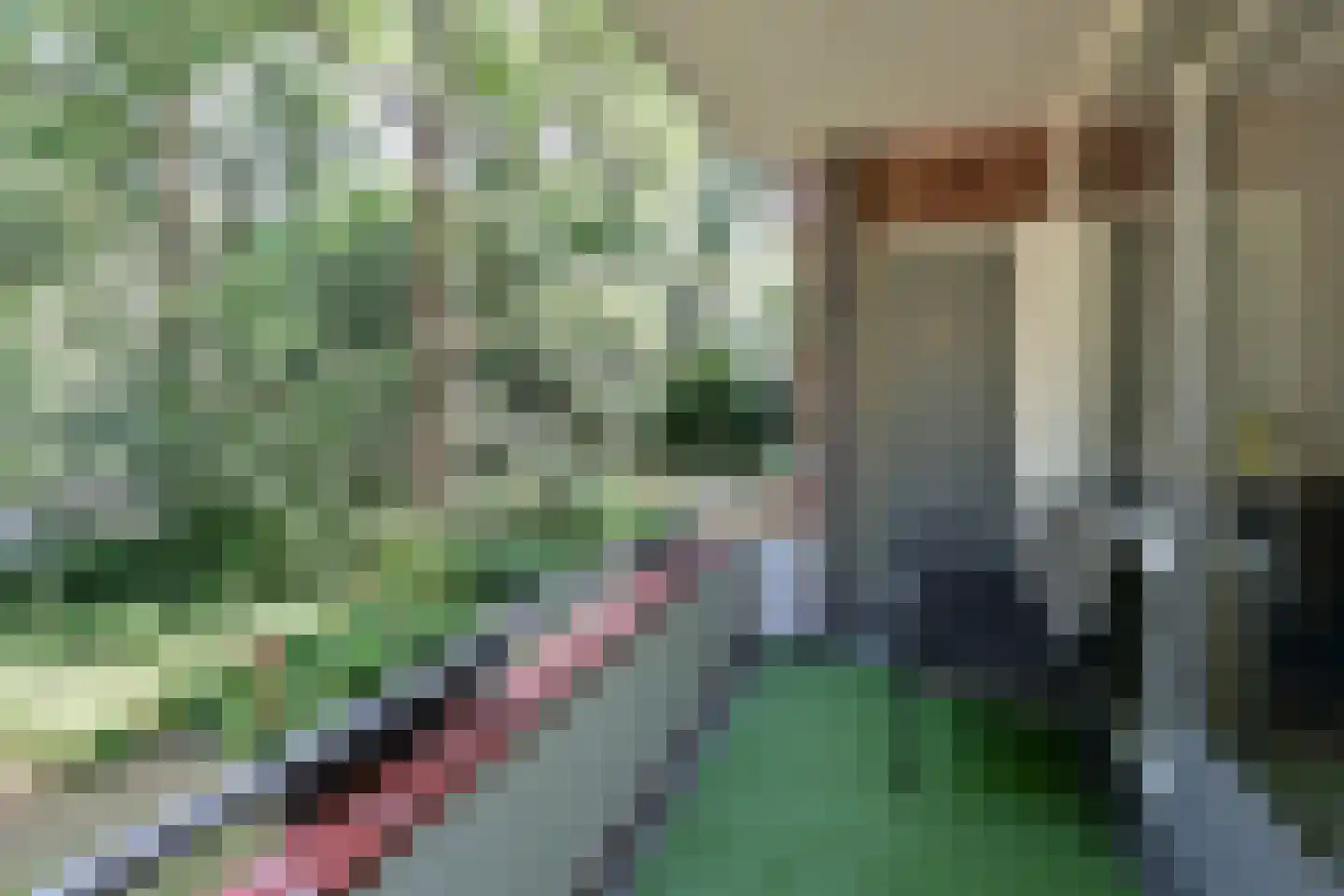 Plesmanstraat 333 Soesterberg thumbnail 11
