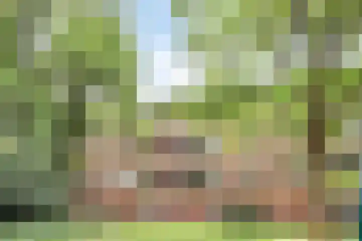 Plesmanstraat 337 in Soesterberg