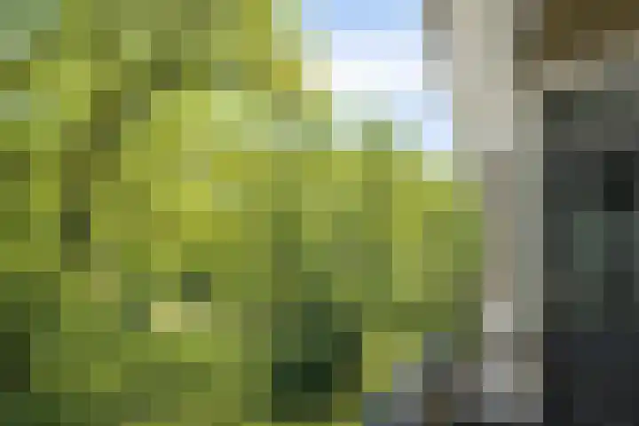 Plesmanstraat 343 Soesterberg thumbnail 30