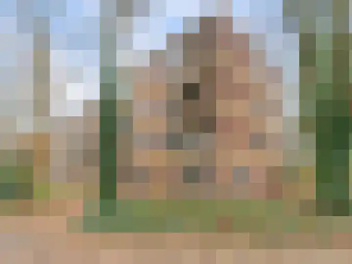 Plesmanstraat 387 Soesterberg thumbnail 31