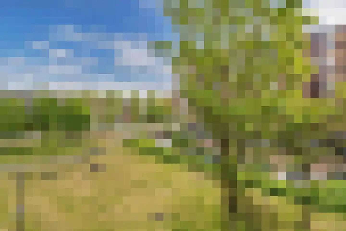 Plesmanweg 373 Beverwijk thumbnail 13