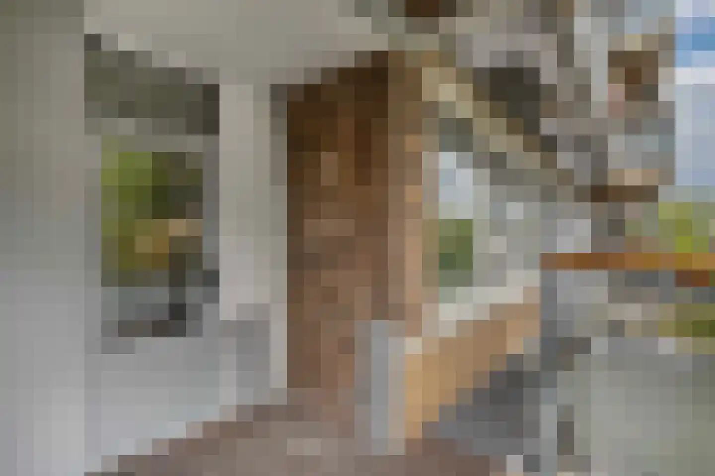 Plesmanweg 373 Beverwijk thumbnail 15