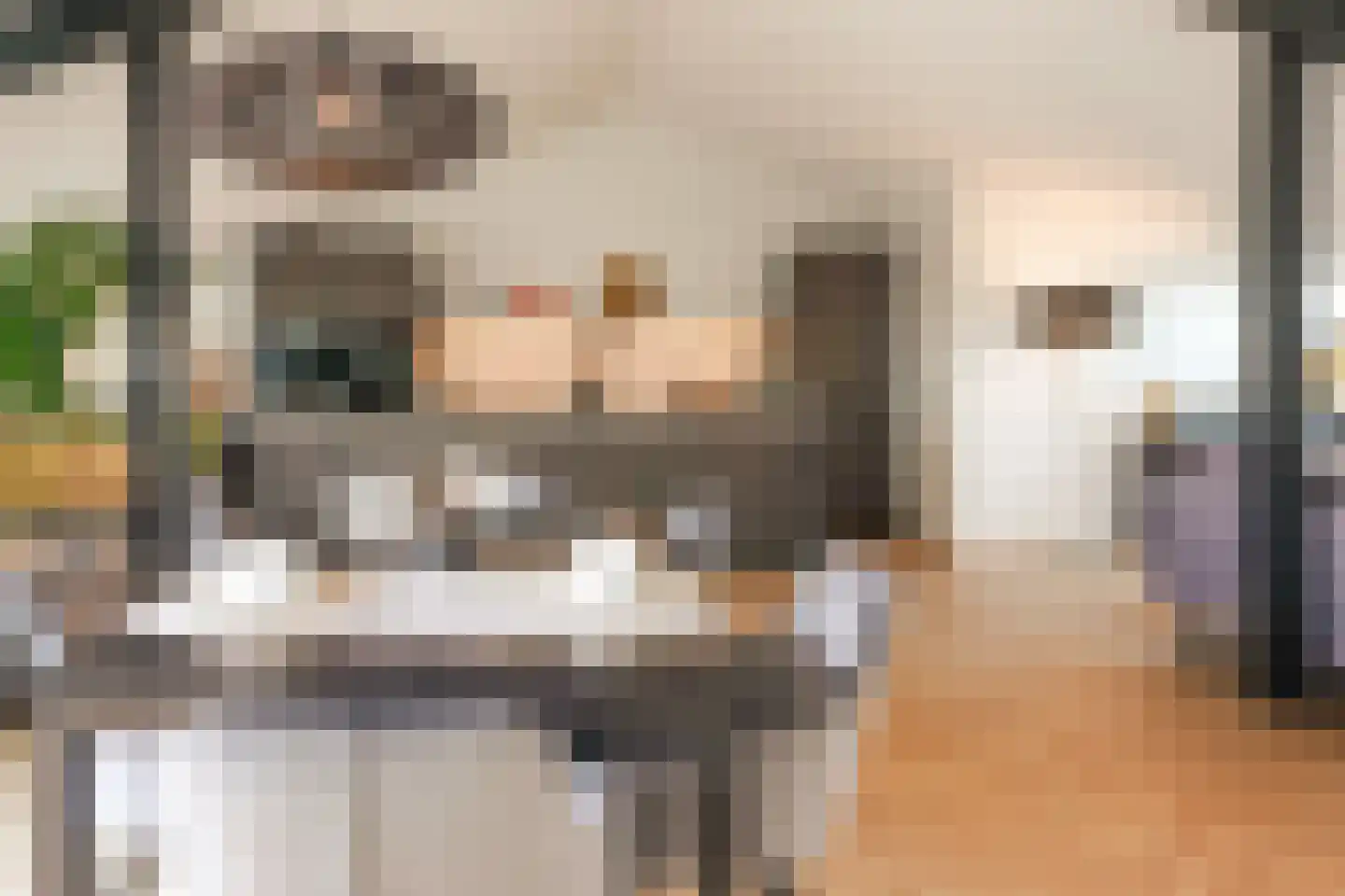 Plesmanweg 389 Den Haag thumbnail 24