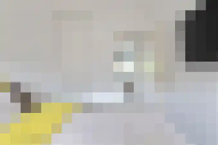 Plesmanweg 431 Beverwijk thumbnail 21