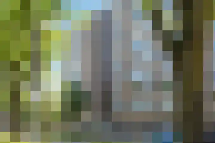 Plesmanweg 431 Beverwijk thumbnail 26