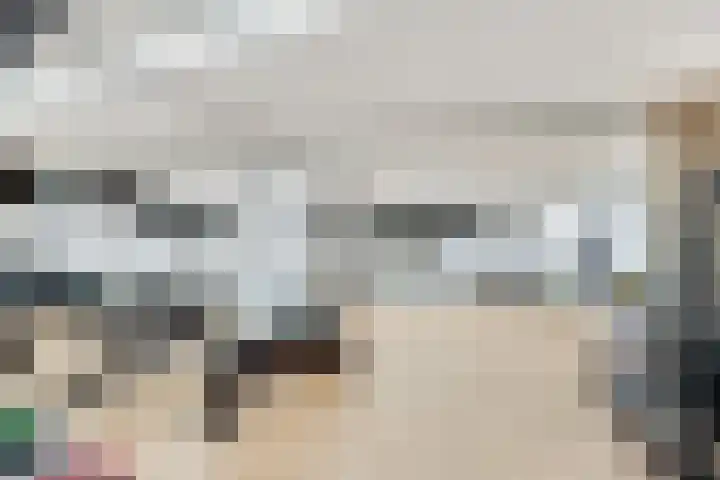 Plesmanweg 499 Den Haag thumbnail 28