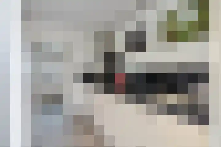 Pletering 35 Oostwoud thumbnail 12