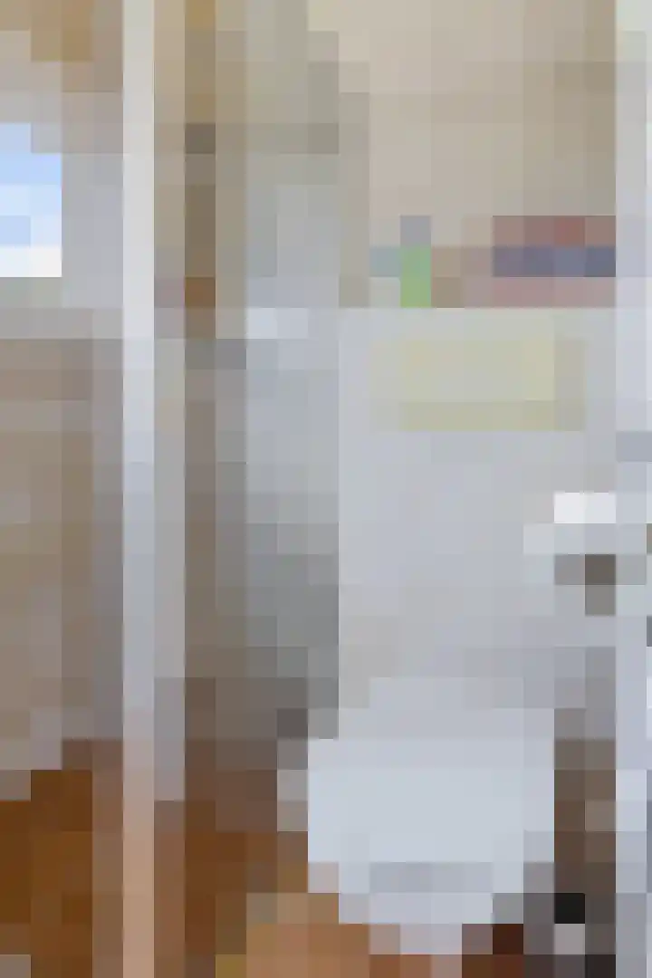 Pletering 35 Oostwoud thumbnail 15