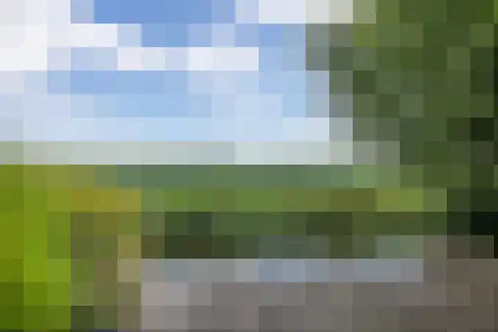Pletering 35 Oostwoud foto 2