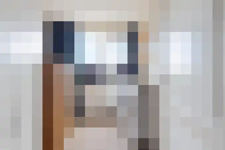 Pletering 35 Oostwoud thumbnail 20