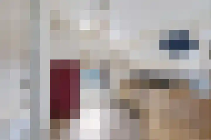 Pletering 35 Oostwoud thumbnail 22