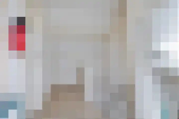 Pletering 35 Oostwoud thumbnail 25