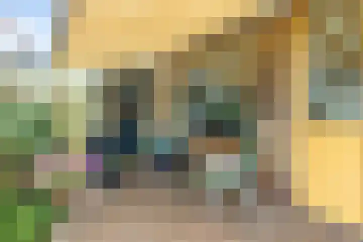 Pletering 35 Oostwoud thumbnail 28