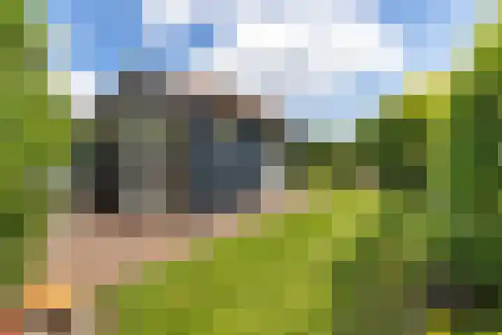 Pletering 35 Oostwoud thumbnail 32