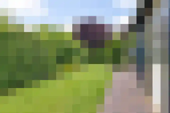 Pletering 35 Oostwoud thumbnail 35