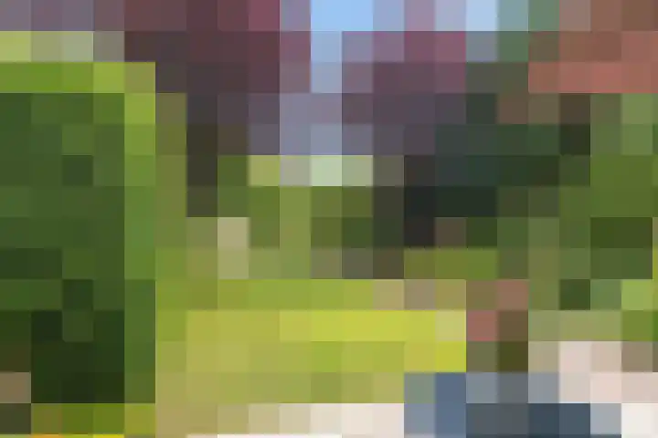 Pletering 35 Oostwoud thumbnail 37