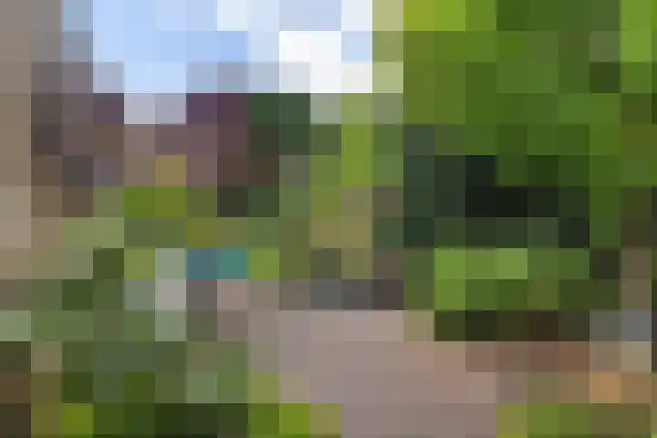 Pletering 35 Oostwoud thumbnail 38