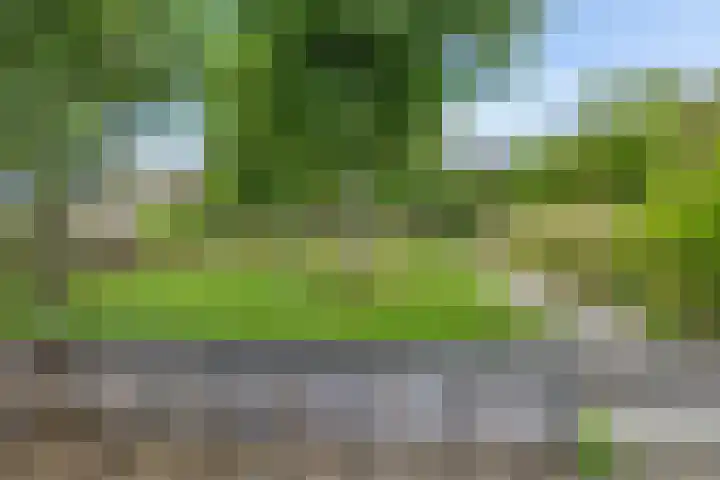 Pletering 35 Oostwoud thumbnail 39