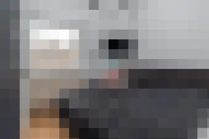 Pletsstraat 34 Bunde thumbnail 18