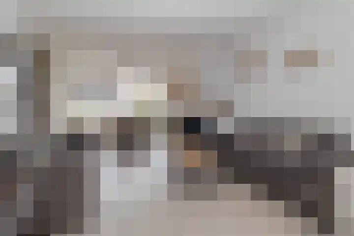 Pletsstraat 34 Bunde thumbnail 6