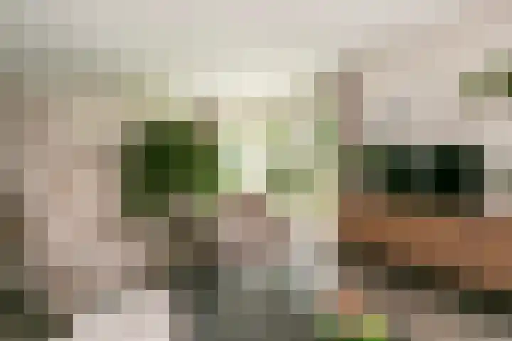 Plettenburg 1 B Nieuwegein thumbnail 10