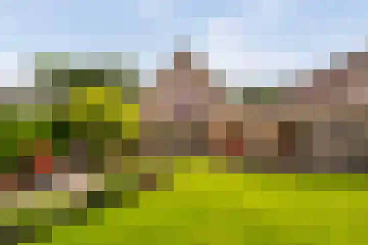 Plettenburg 1 B Nieuwegein thumbnail 19