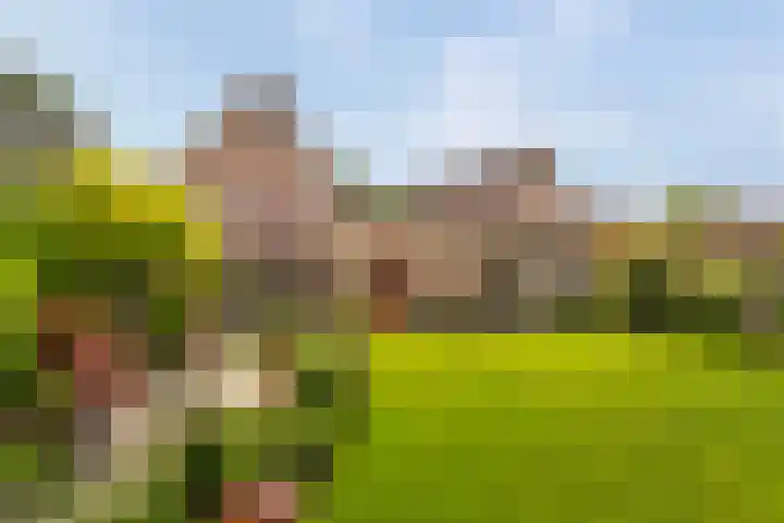 Plettenburg 1 B Nieuwegein thumbnail 21